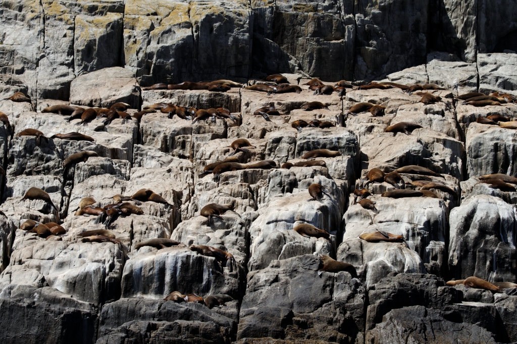 09 - Tasman NP (11).jpg